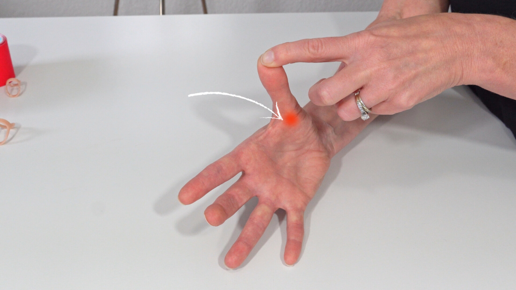 Image shows where you should feel the contraction of the thumb tendon during the trigger thumb exercise.
